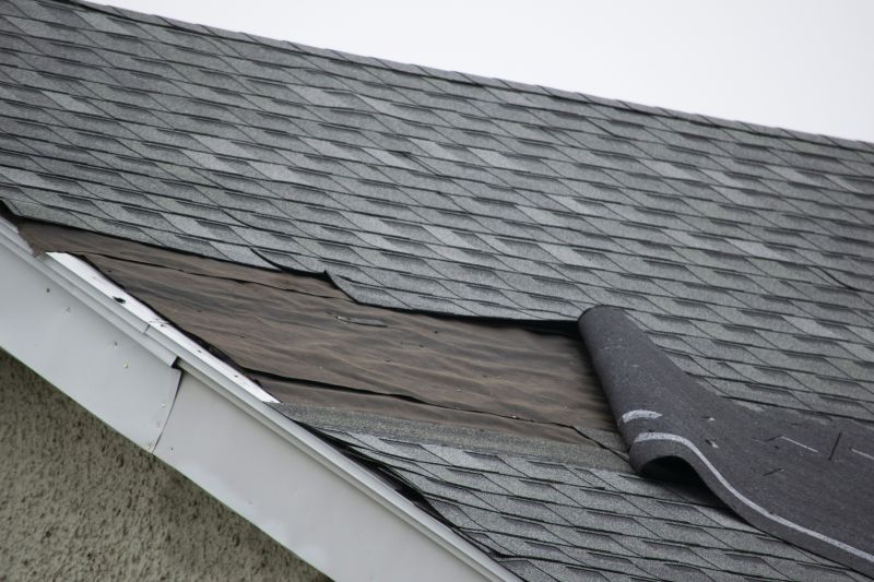 Professional Shingle Repair